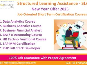 Data Analyst Course in Delhi, 110099. SLA