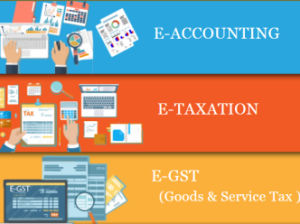 Best E-Accounting Course in Delhi, “Learn