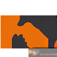 Best American Curriculum School in Peshawar