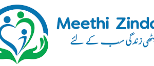 Best NGO in Pakistan: Meethi Zindagi