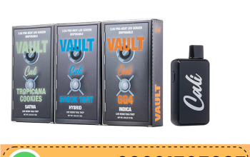 Cali Extrax VAULT Disposable 3.5G In Pakistan