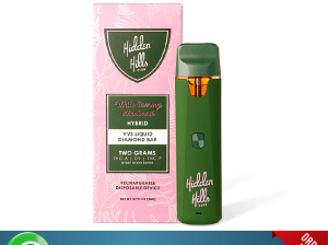 Hidden Hills VVS Liquid 2G Price In Bahawalnagar