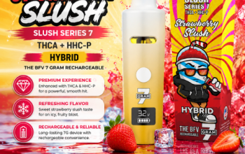 Binoid Slush Series Disposable 7G In Pakistan