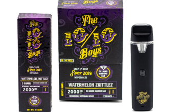 TKO FLOW Disposable Vape Pen (2G) In Hyderabad