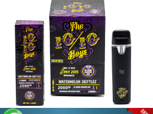 TKO FLOW Disposable Vape Pen (2G) In Jhelum