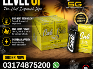 Cali Extrax Level Up Blend Disposable 03174875200