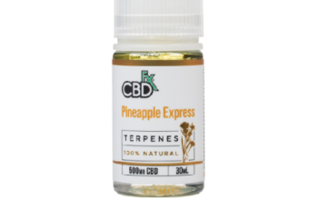 CBDFX Terpenes – Pineapple Jatoi 03004409550