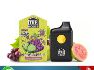 Tre House THC-A Live Rosin Disposable Pakistan